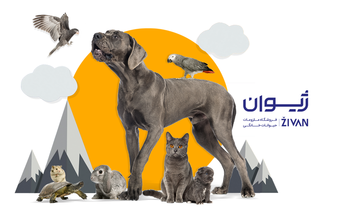 پت شاپ | pet shop