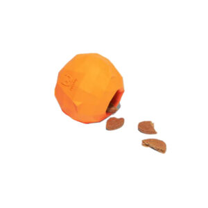 اسباب بازی دنتال مخزن دار طرح پرتقال برند زی داگ